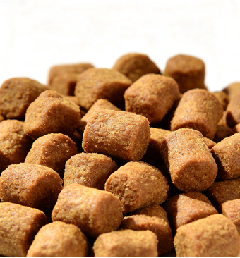 Rawpawsmarket - Primal Freeze-Dried Raw Scoopable Pronto Dog Food
